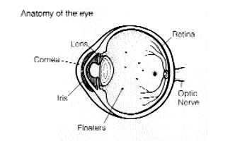 Can eye floaters be a cause of medical alarm?