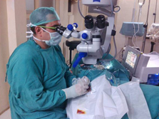 Highlight of Ophthalmology