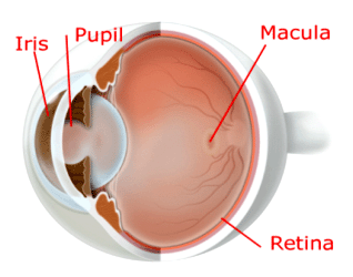 cataracts icd 10 code